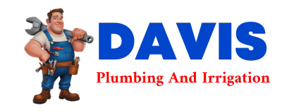 Trusted plumber in DEWART